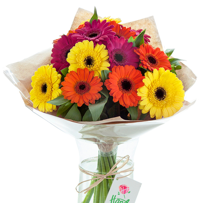 Arranged with loving expertise in the heart of Woodside, this dazzling bouquet of Gerbera daisies brings an instant sense of celebration and gratitude. The arrangement commands attention with its mix of large blooms: warms yellows that suggest the first rays over Woodside Park, spirited oranges that spark memories of local gardens in full bloom, and deep magentas that evoke quiet moments beneath mature oaks. Each daisy is defined by a prominent dark center, lending dramatic depth and a contemporary edge to the classic form. Interspersed leaves of verdant green create a lush, welcoming contrast, evoking the freshness of a morning stroll along Woodside Road. The blooms are thoughtfully wrapped in a duo of natural brown kraft paper and supple clear cellophane-combining rustic tradition with modern polish. The stems below, bound tightly and submerged in sparkling water within the glass vase, seem poised for longevity and vibrancy. A twist of natural raffia secures both stems and sentiments, while a delicate white gift tag, adorned with a stylised red floral motif, sways gently-a symbol of thoughtful gifting. This composition is captured in soft, luminous light, showcasing every petal and fold. Suitable for all occasions, from birthdays to congratulatory milestones, and available for prompt delivery throughout Woodside, this bouquet epitomises the freshness, care, and artistry of the community's favourite flower shop.